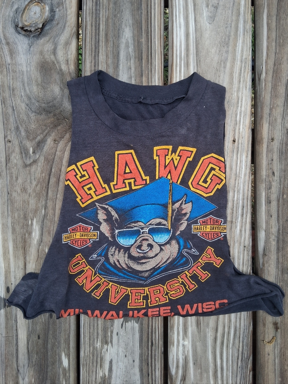Vintage Harley Davidson T Shirt Cropped Cut Off Muscle Tank, Hawg, Motorcycle
